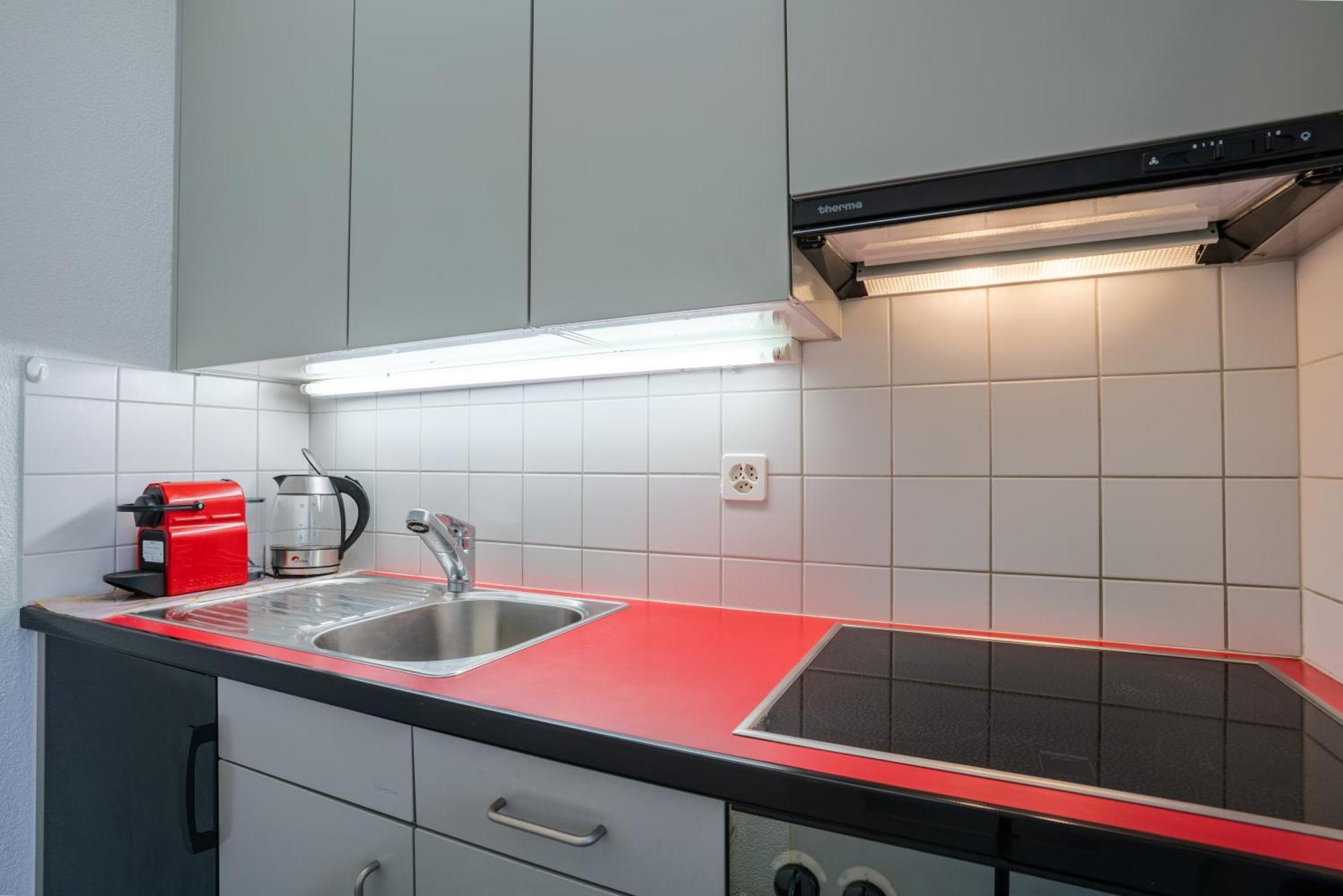 Apartment Bright Flat With Workspace Near Downton Basel