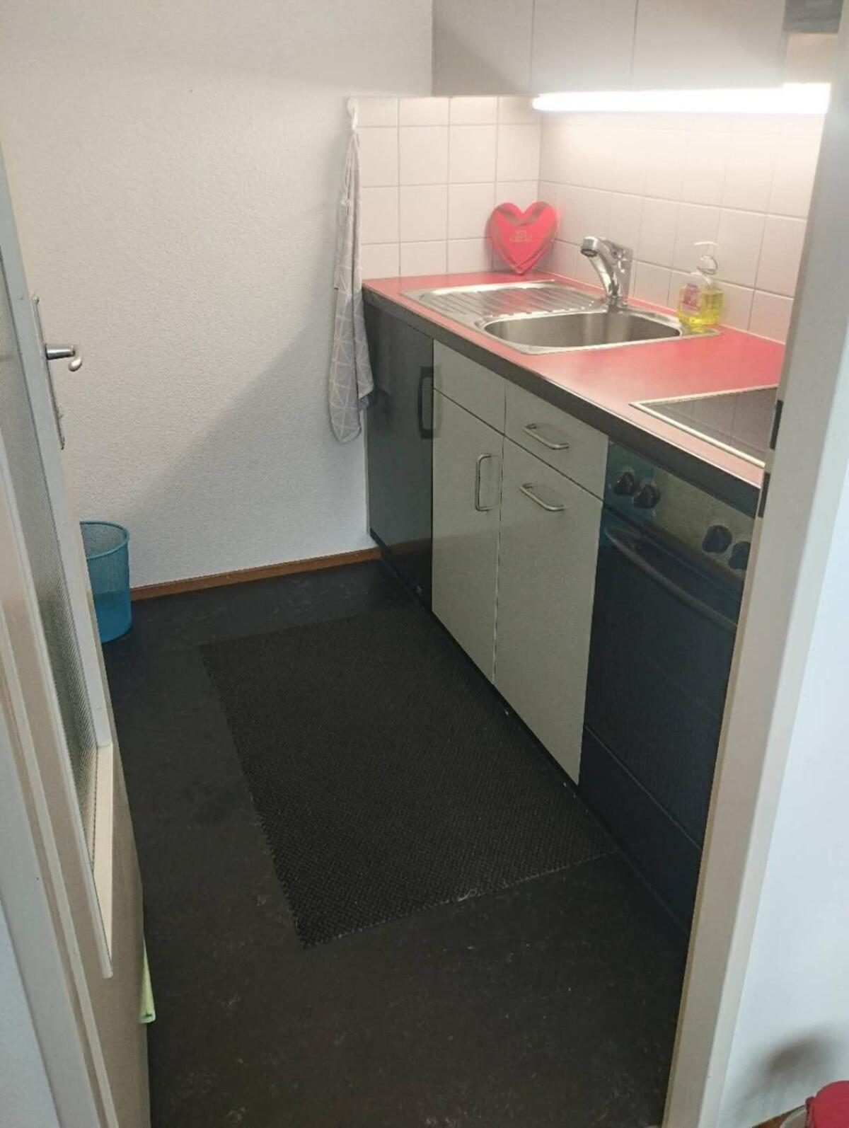 Bright Flat With Workspace Near Downton * Basilea